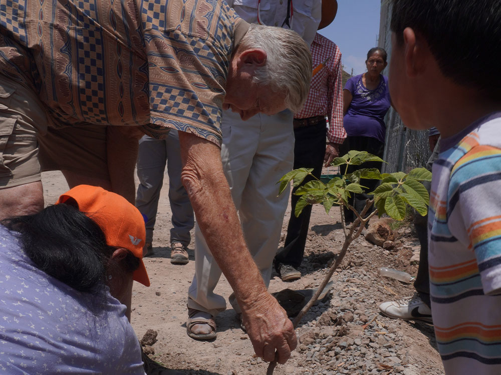 reforestacion_banner