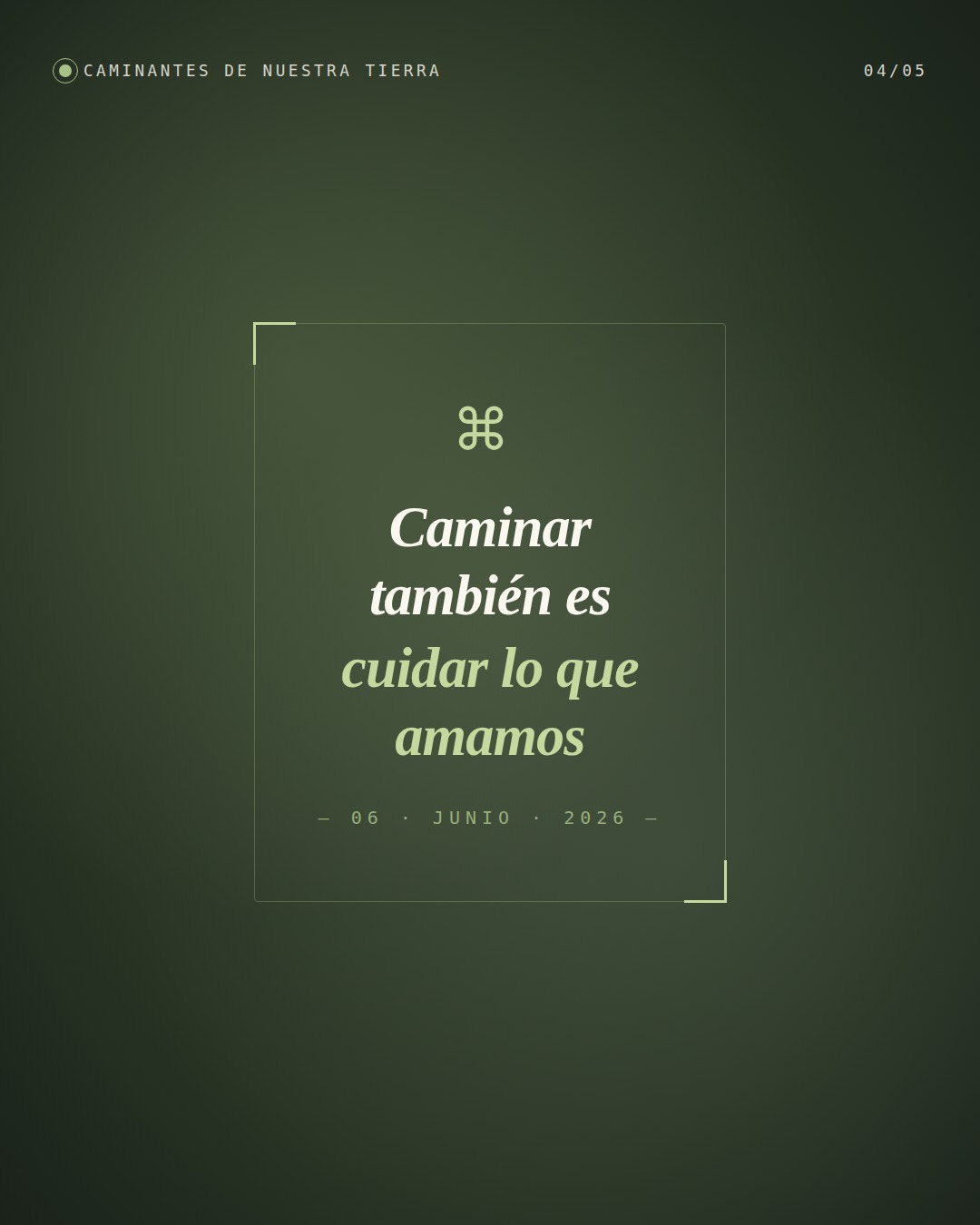 dmmabanner04