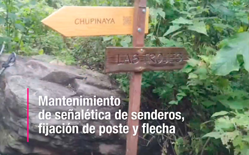 banner_video_chupinaya